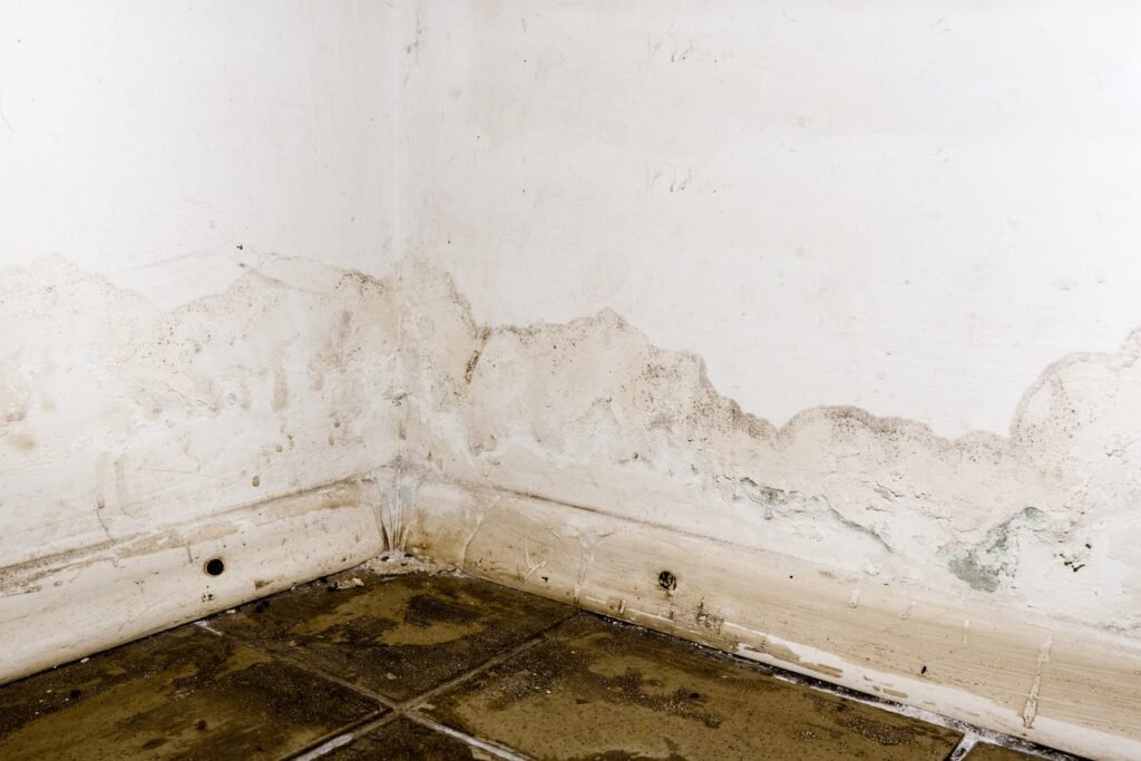 Deterioration of Interior: Consequences of overlooking waterproofing