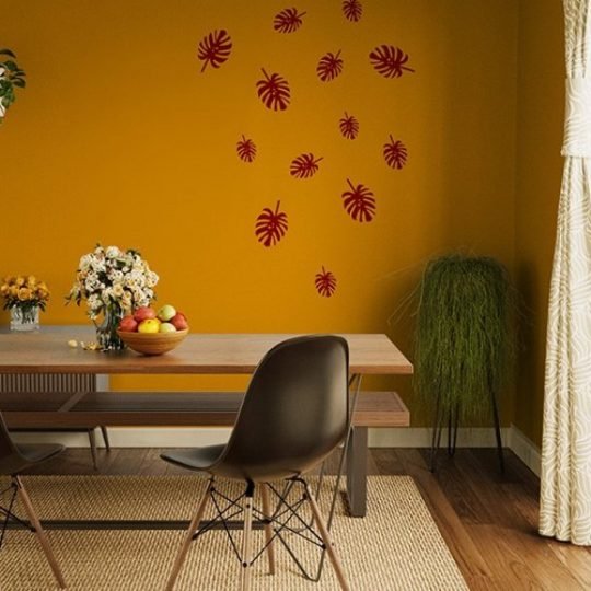 Home painting color